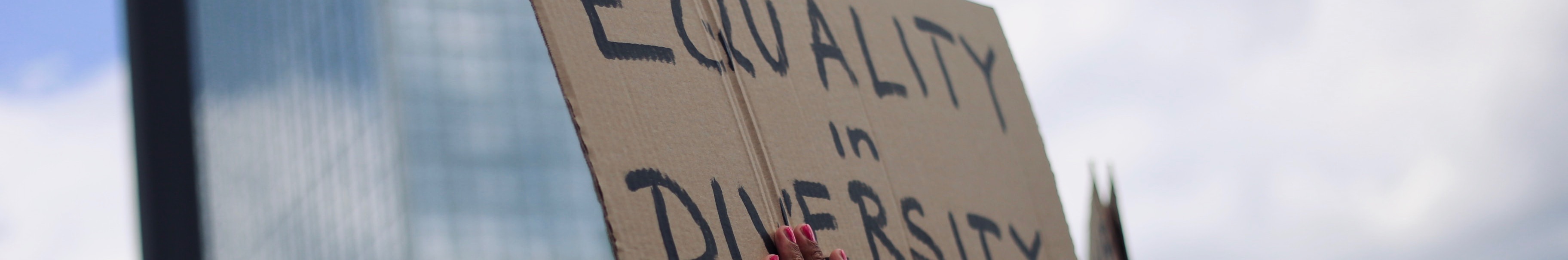 Despite a slight glassceiling effect, ethnic minorities are present throughout BS' entire