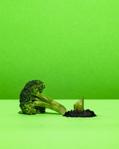 A cheerful cartoon broccoli with a smiling face and dot eyes, set against a soft green background.