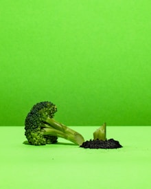A piece of broccoli is lying on a vividly green surface, with its cut stem facing towards a small pile of soil. The background is a matching bright green which emphasizes the texture and color of the broccoli.