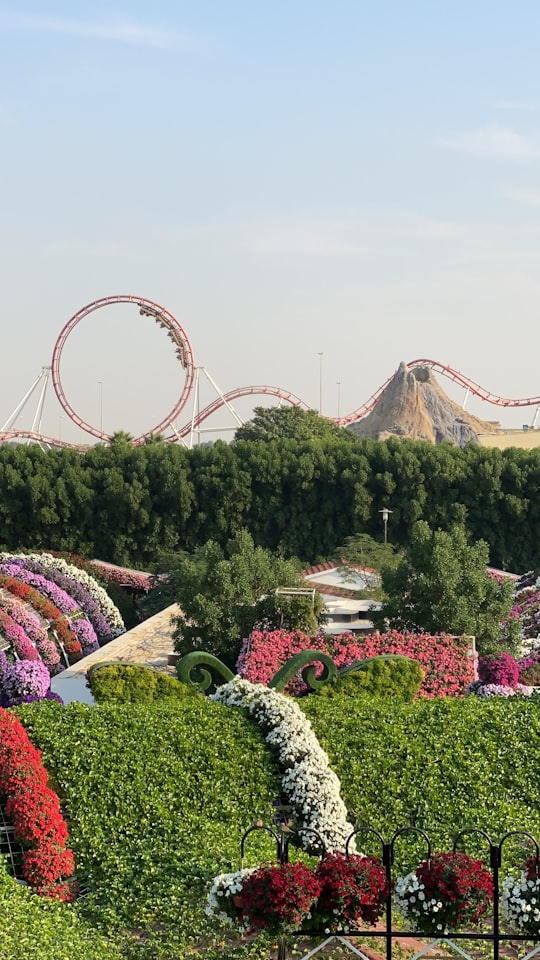 Dubai Miracle Garden things to do in Global Village