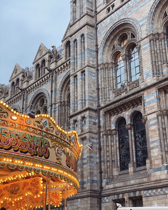 white concrete building with gold and blue dragon carousel in Natural History Museum United Kingdom