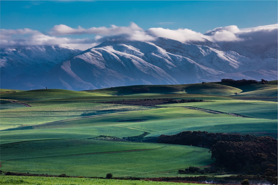 green grass field near snow covered mountain during daytime