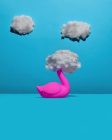 Flamingo with head in the clouds symbolizing a head full of hair