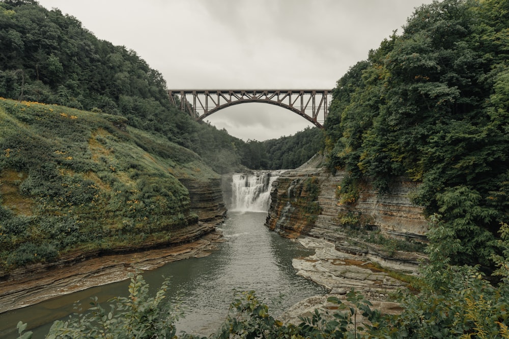 ponte sul fiume tra alberi verdi