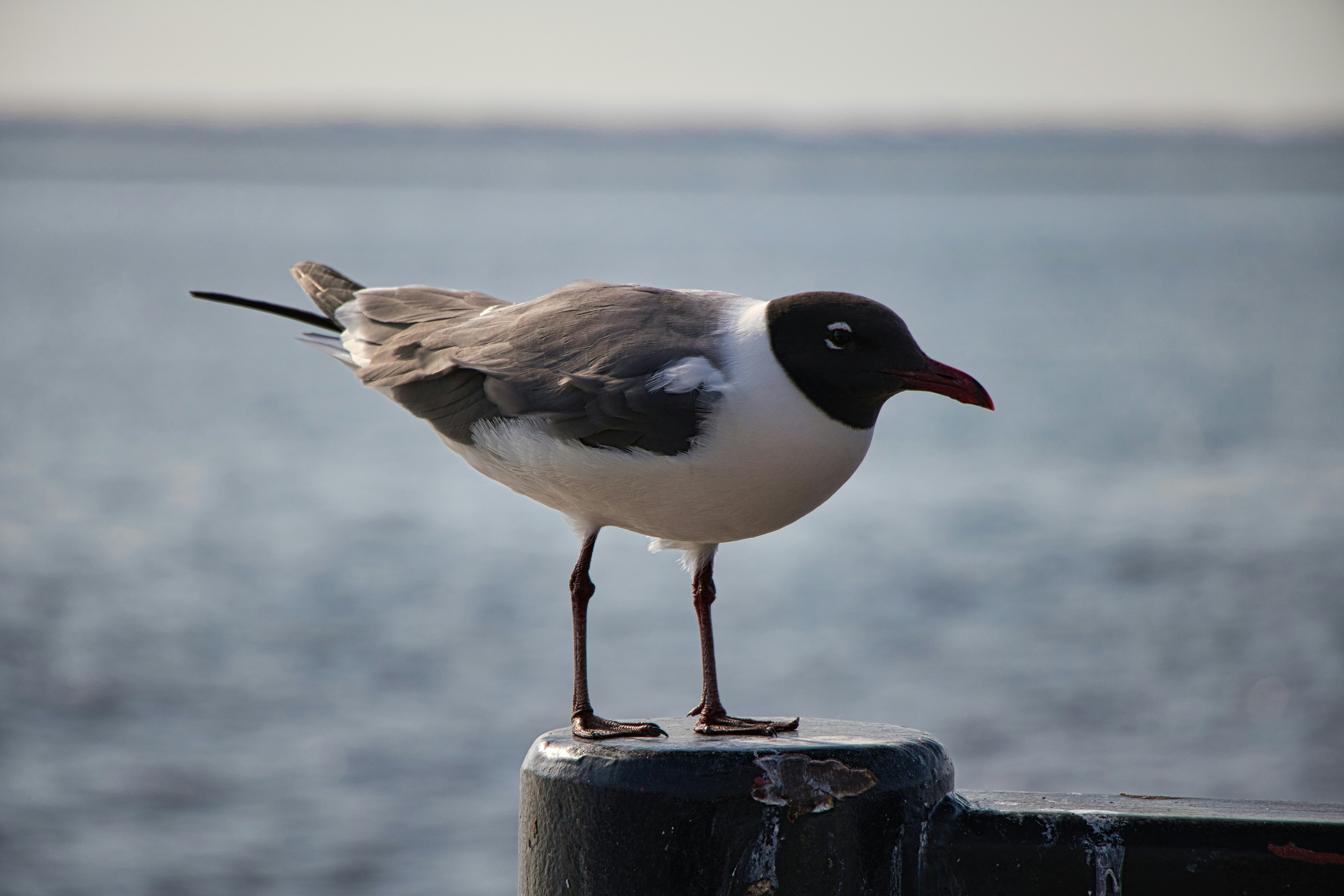 Photo by trails2hike