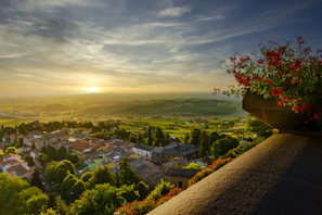 View of the Algarve countryside from the quinta’s terrace at golden hour