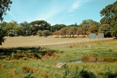 A serene landscape featuring a large grassy field bordered by a wooden fence. Trees in full foliage surround the area, with a shallow pond in the foreground. Two blank billboards stand near the tree line, adding a subtle human element to the natural setting.