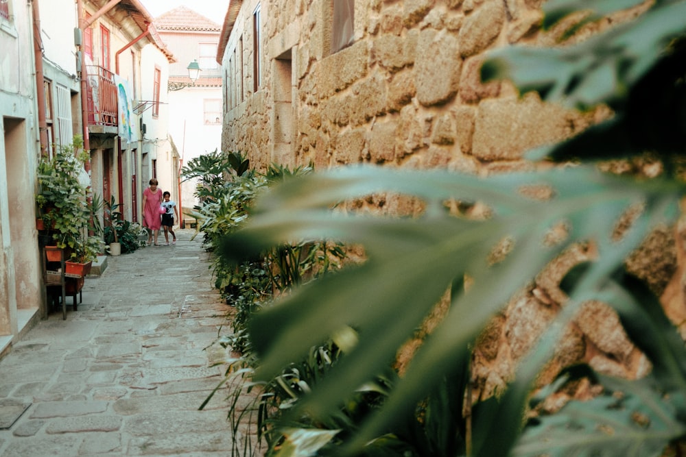 green plants beside brown concrete wall during daytime