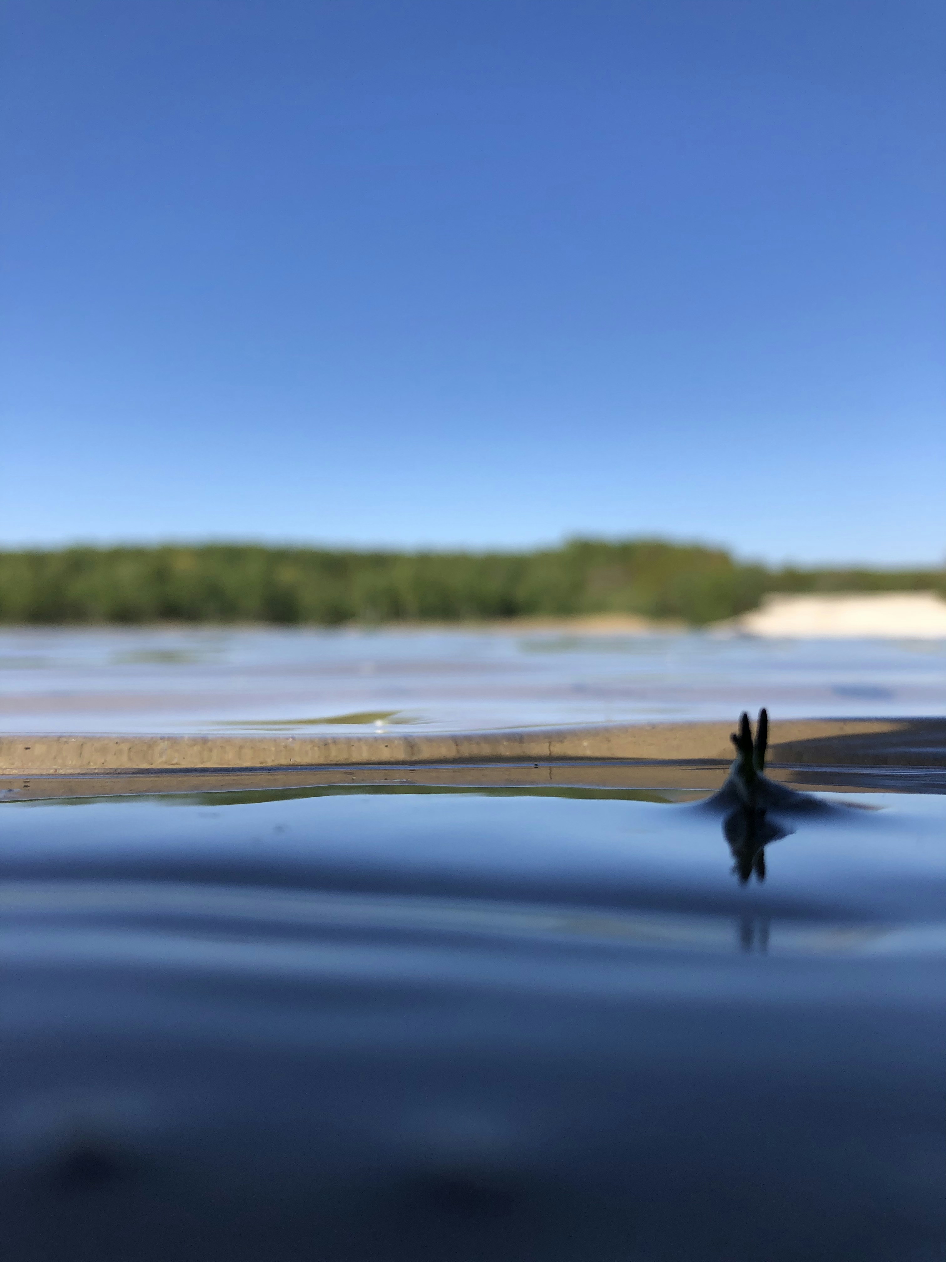 person riding on boat on lake during daytime