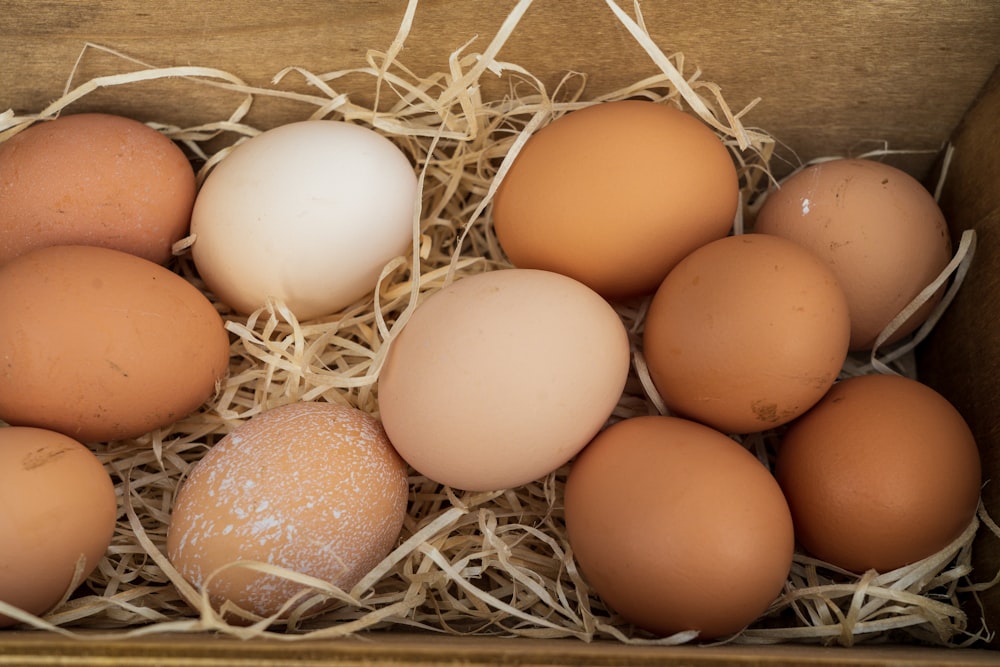 Braunes Ei auf braunem Nest