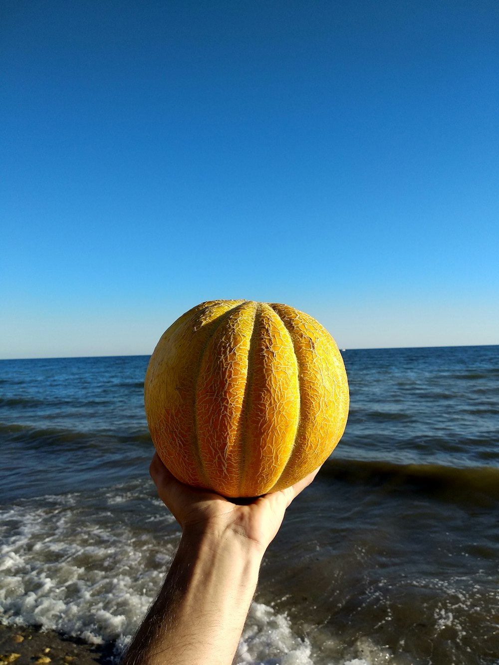 person holding yellow ball near body of water during daytime