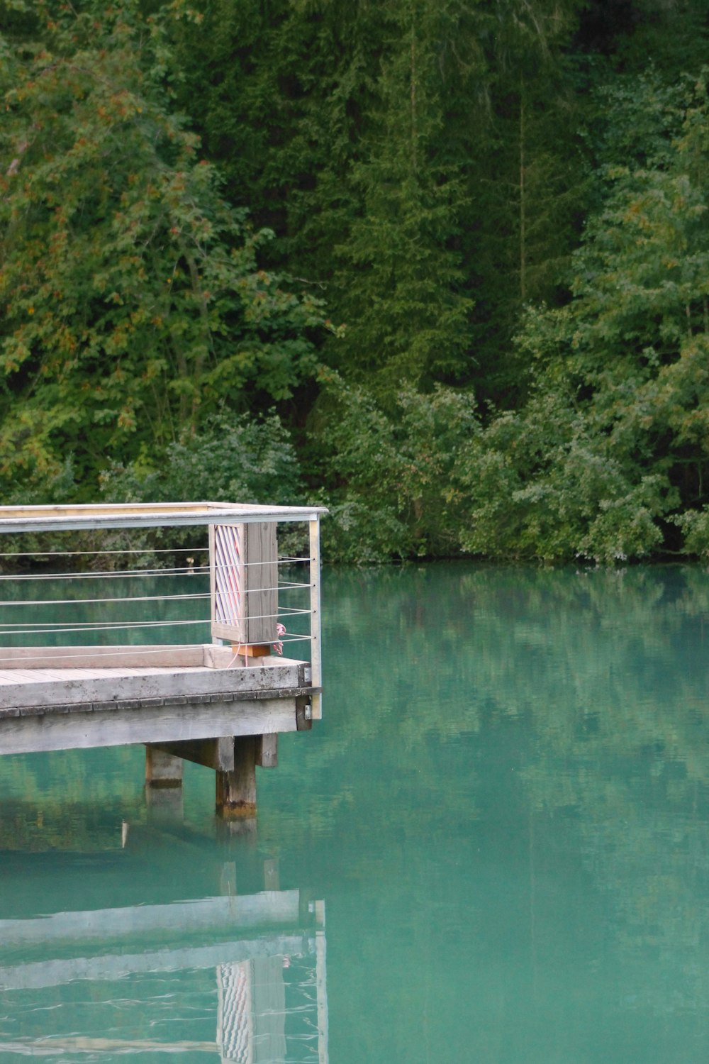 white wooden dock over green lake