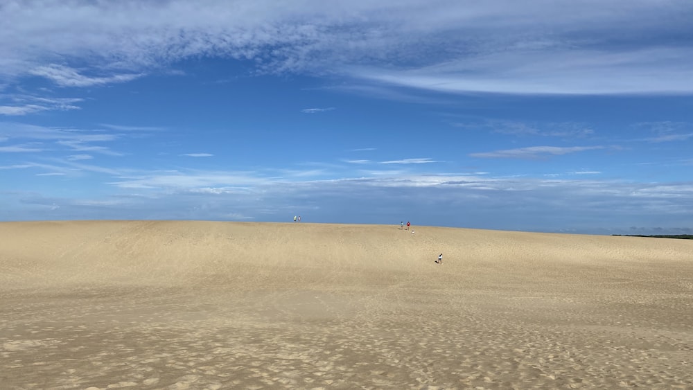 people walking on brown sand under blue sky during daytime