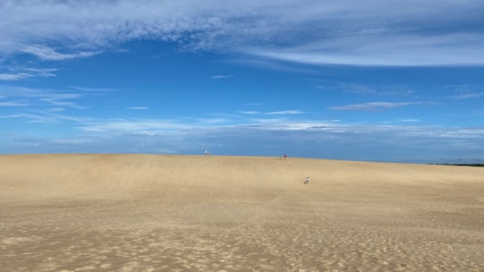 Jockeys Ridge State Park things to do in Rodanthe