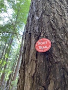 A close-up view of a tree trunk in a forest, featuring a red circular sign that reads 'New York State Department of Environmental Conservation Foot Trail.' The background shows tall trees and lush green leaves illuminated by daylight.
