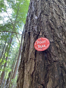 A close-up view of a tree trunk in a forest, featuring a red circular sign that reads 'New York State Department of Environmental Conservation Foot Trail.' The background shows tall trees and lush green leaves illuminated by daylight.