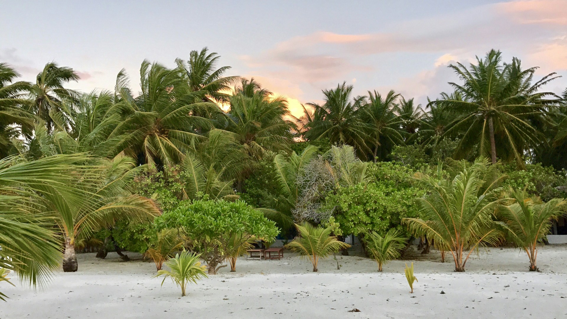 A serene sunrise over a secluded beach resort with palm trees gently swaying in the breeze.