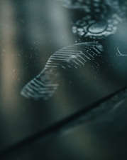 A close-up of a mysterious large footprint pressed into soft forest soil.