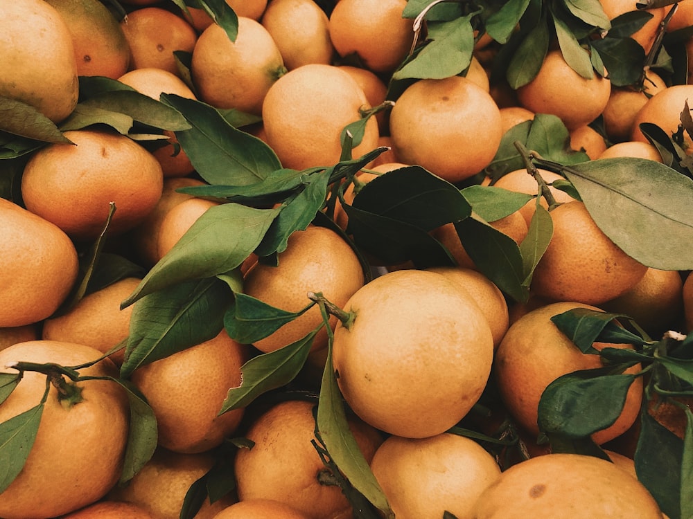 fruta laranja em folhas verdes