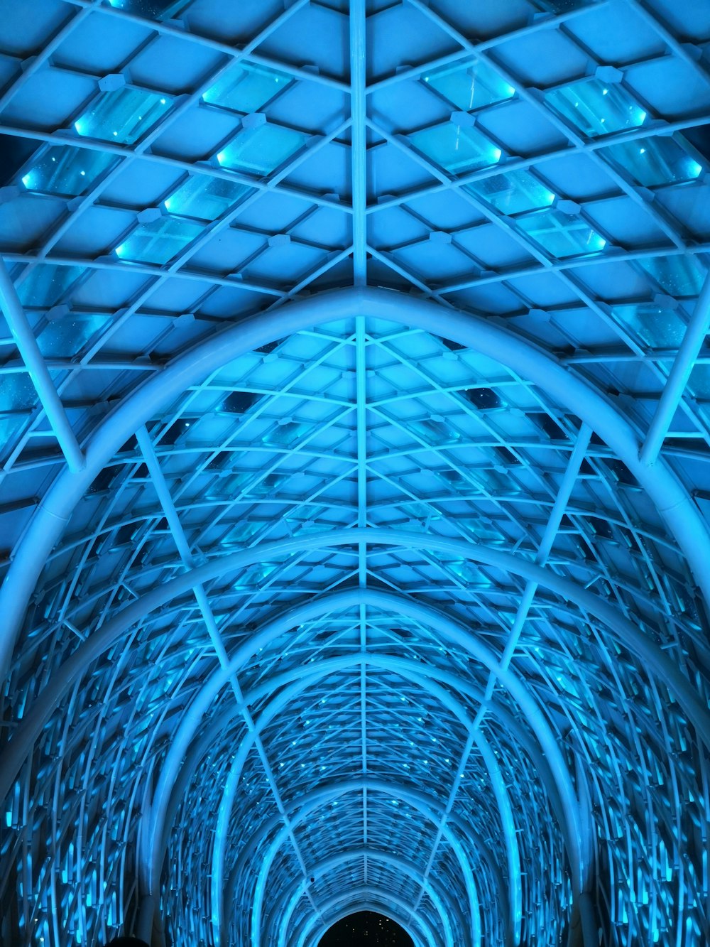 blue and black glass roof