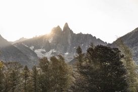 The image depicts a serene mountain landscape with sunlight peeking over jagged mountain peaks. In the foreground, there is a dense forest composed of tall trees. The early morning or late afternoon sun casts a soft, golden hue over the scene, creating a peaceful and majestic atmosphere.
