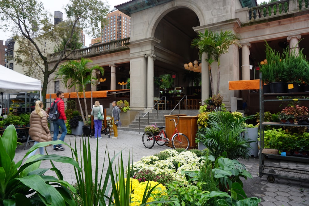 people standing near green plants during daytime