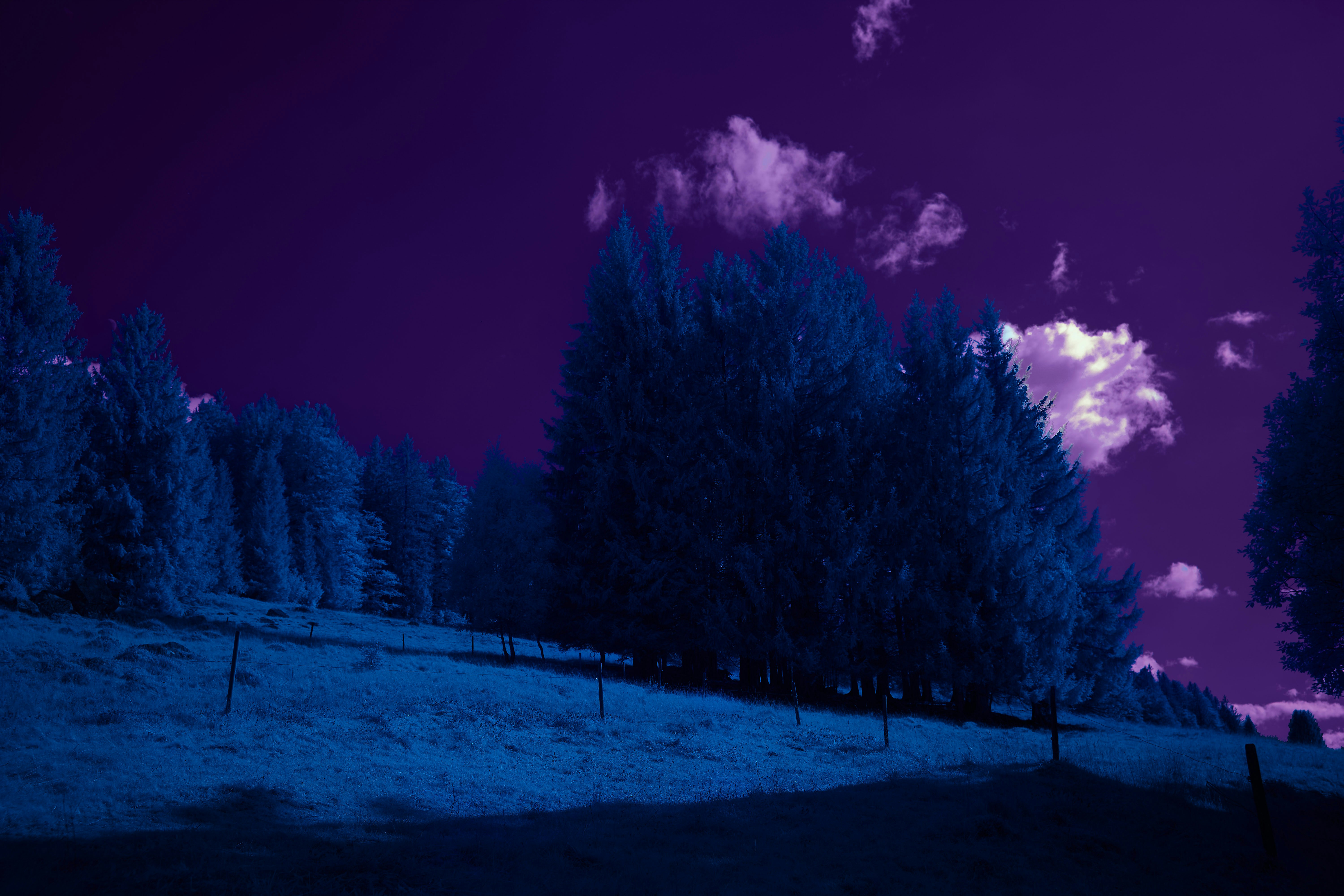 Photo by wolfgang_hasselmann