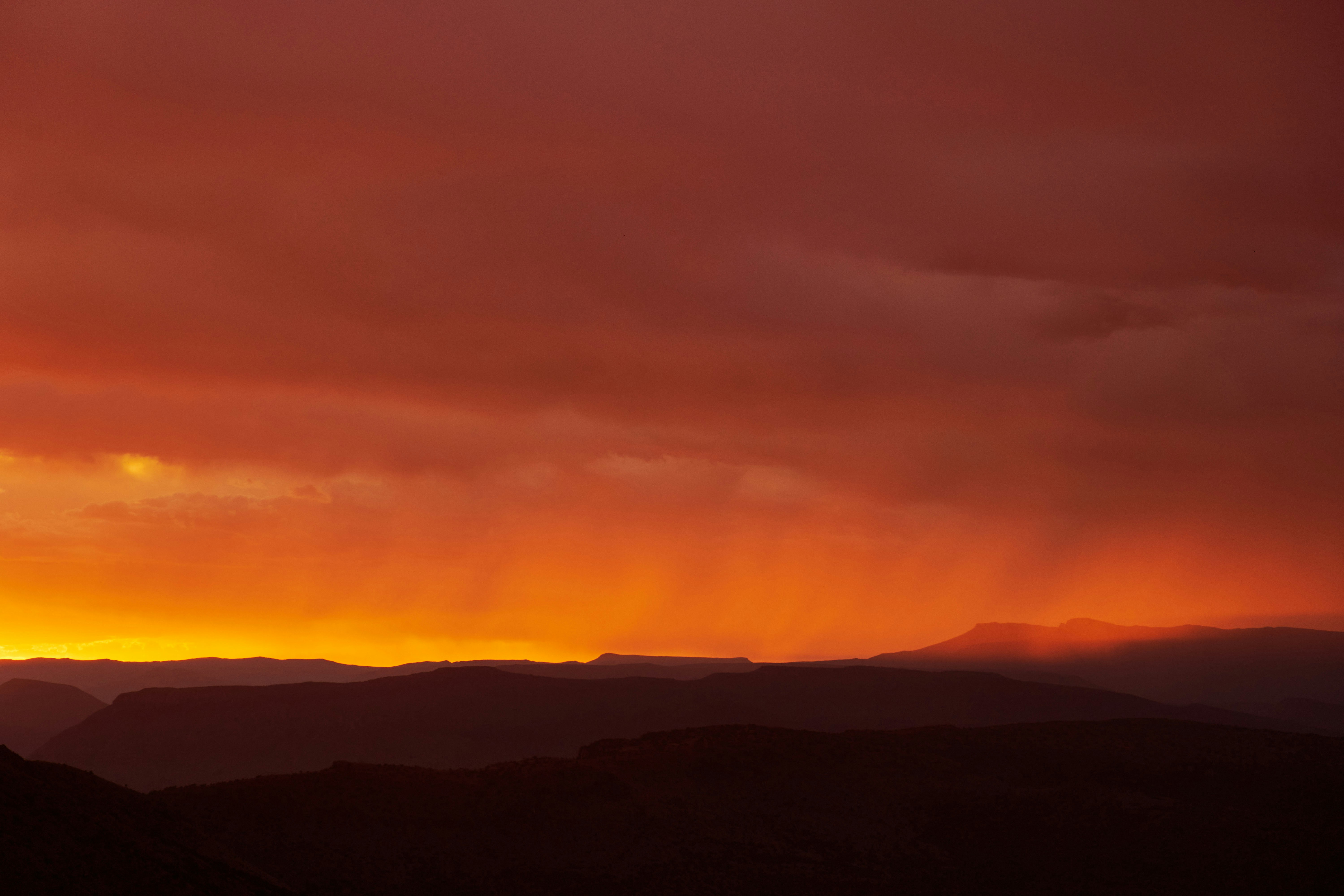 Photo by wolfgang_hasselmann