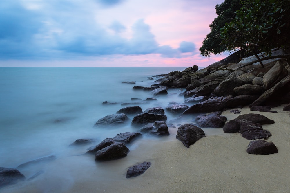 brown rock formation on sea shore during daytime