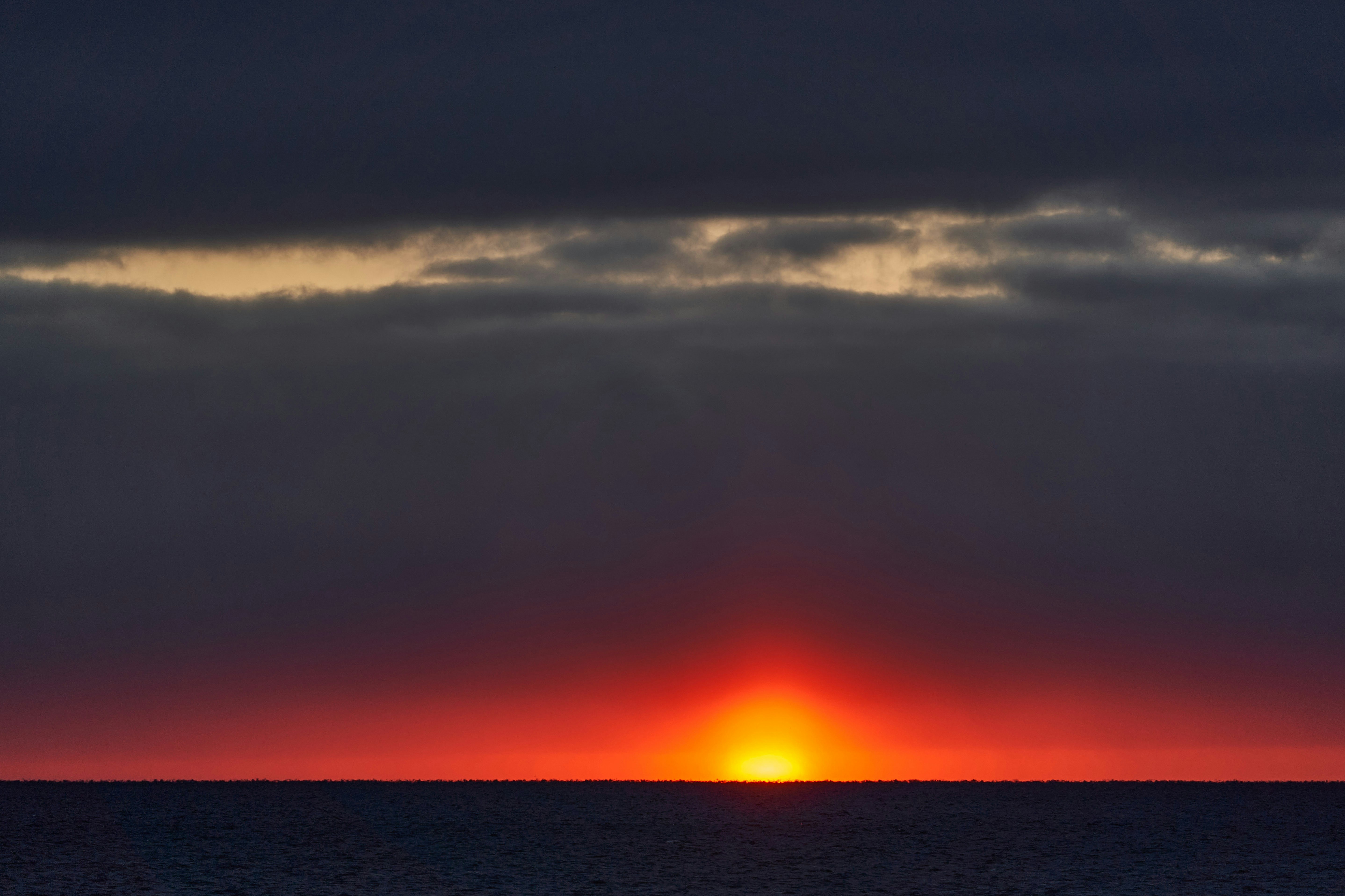 Photo by wolfgang_hasselmann