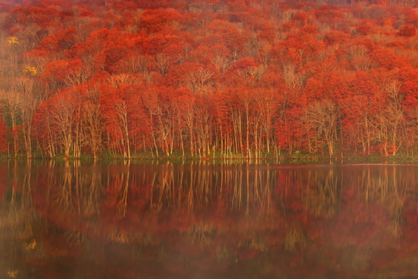 Discover Aomori: A Comprehensive Travel Guide