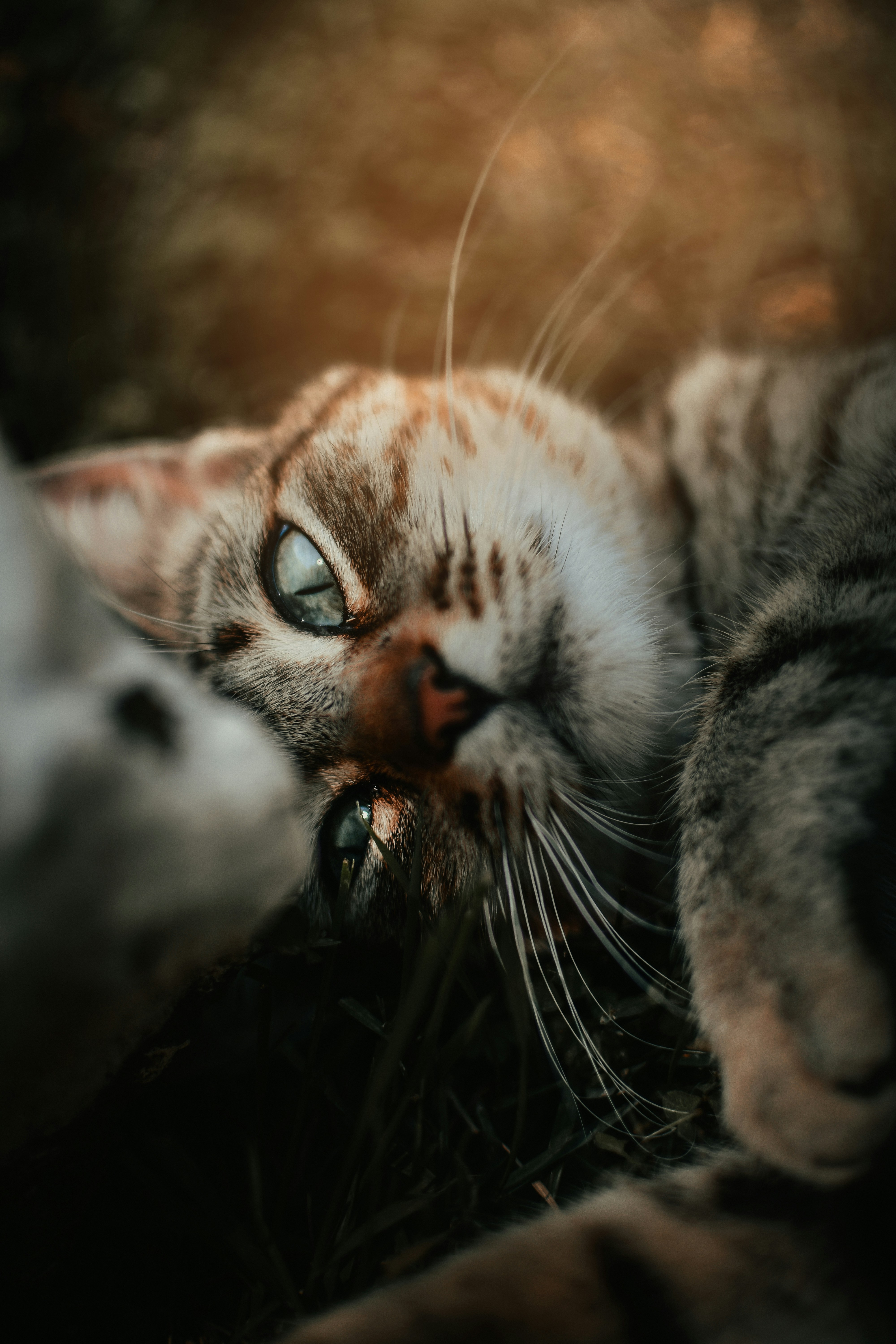 Turn Mealtime into an Adventure (image credits: unsplash)