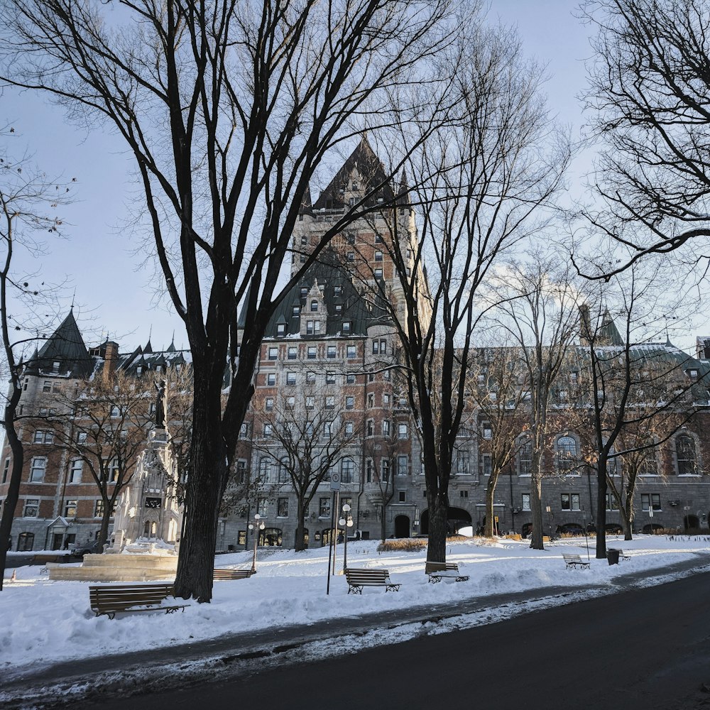 árboles desnudos en el suelo cubierto de nieve cerca de un edificio de hormigón marrón durante el día