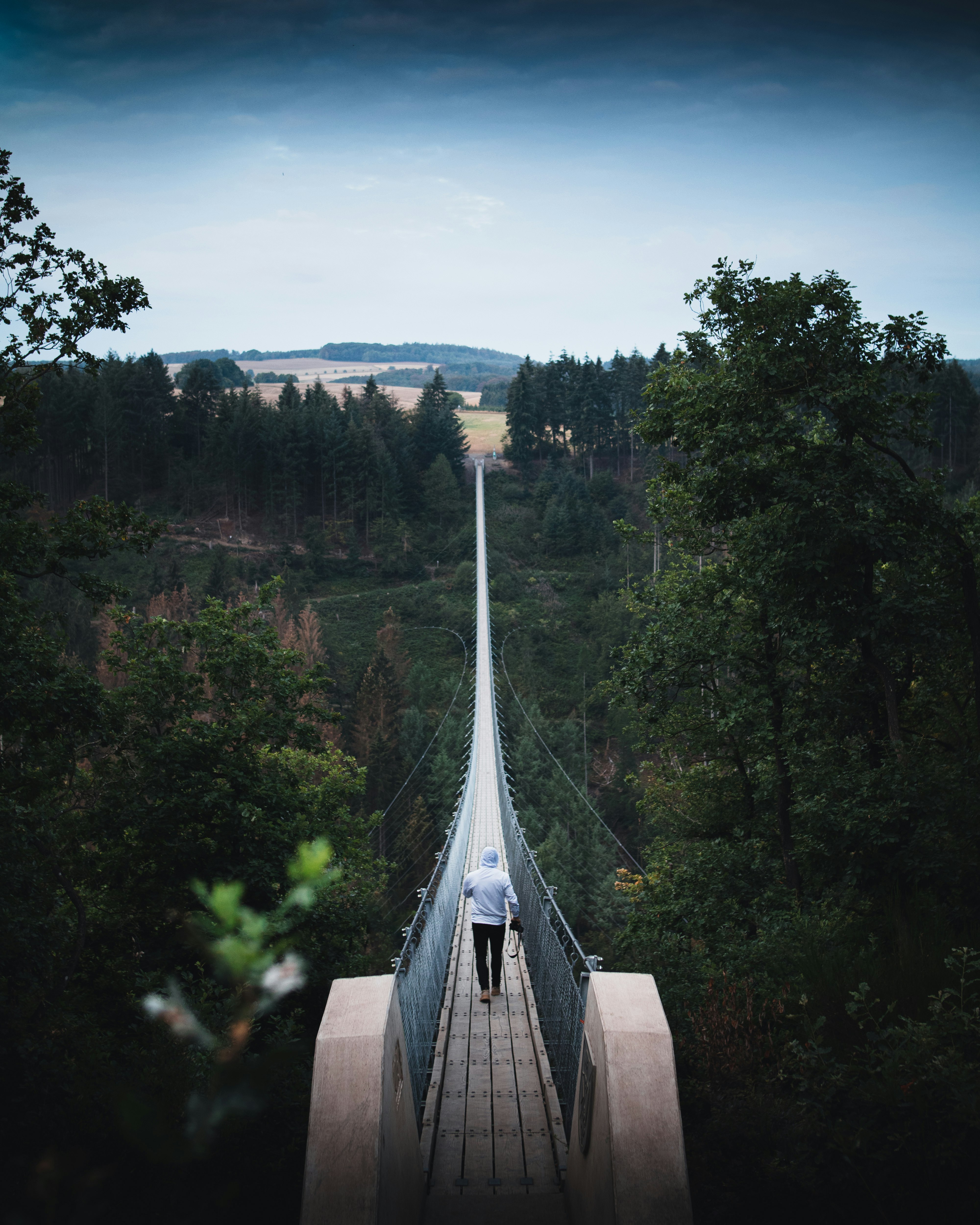 gray concrete bridge in between green trees during daytime