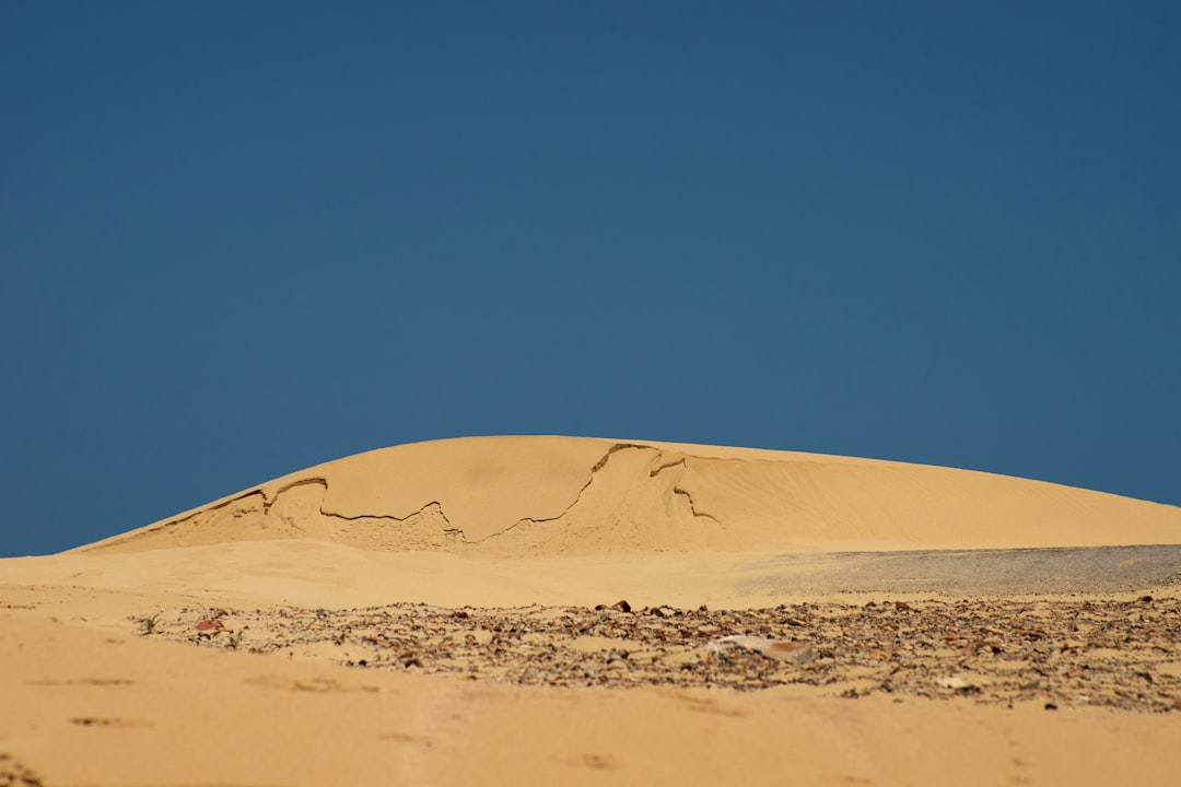 brown sand under blue sky during daytime