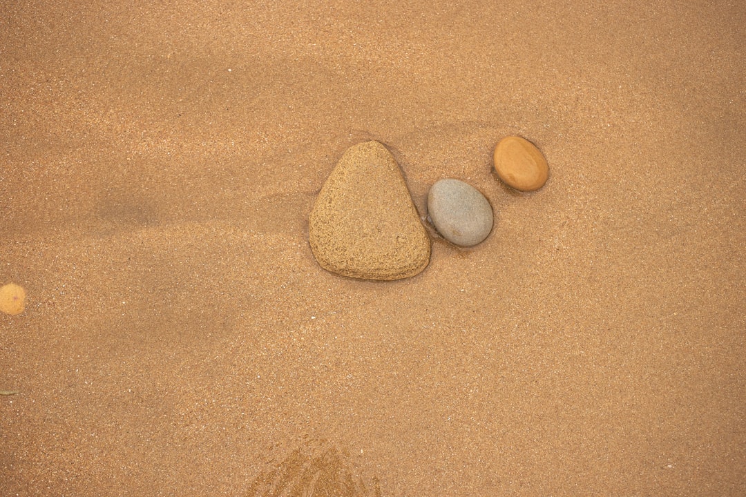 white and brown stones on brown sand