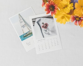 Weekly Visits