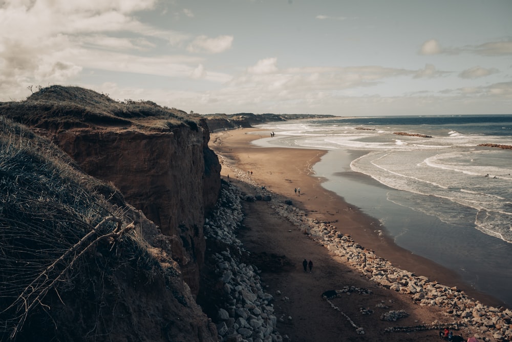 people on beach during daytime