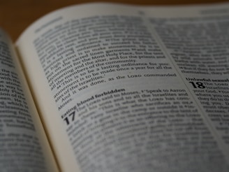 The image displays an open book with visible text, focusing on a spread of Bible pages. The text includes passages from Leviticus, especially chapters discussing religious statutes.