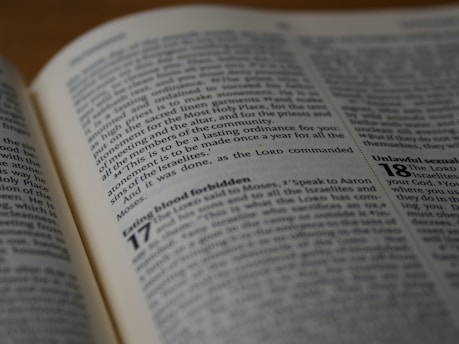 The image displays an open book with visible text, focusing on a spread of Bible pages. The text includes passages from Leviticus, especially chapters discussing religious statutes.
