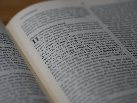 An open guidebook with clear, highlighted sections and notes.