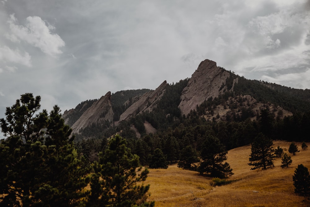 green trees on brown field near mountain under white clouds during daytime