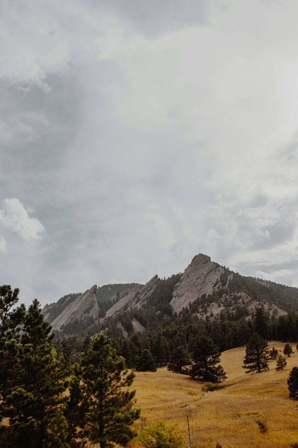 green trees near mountain under cloudy sky during daytime