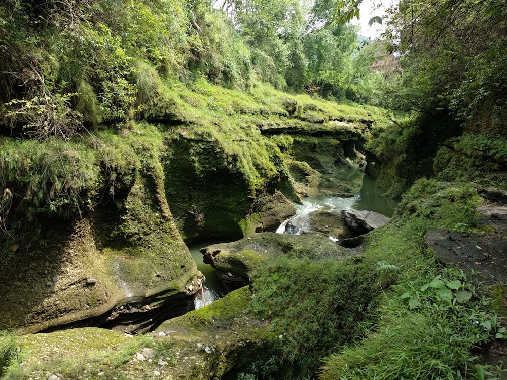 Fluss mitten im Wald