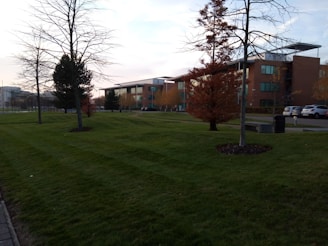 A landscaped area featuring a grassy lawn with a few leafless and autumn-colored trees. Modern-style buildings with large windows are visible in the background, and several cars are parked near the buildings. Benches and trash bins are also present, suggesting a public or office park setting.