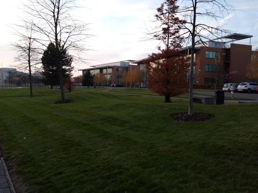 A landscaped area featuring a grassy lawn with a few leafless and autumn-colored trees. Modern-style buildings with large windows are visible in the background, and several cars are parked near the buildings. Benches and trash bins are also present, suggesting a public or office park setting.