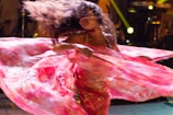 A dancer is captured mid-performance, enveloped in flowing pink and red fabric that appears blurred from motion. Her long hair is flying through the air, creating dynamic movement. The background includes dimly lit stage elements with spotlights.
