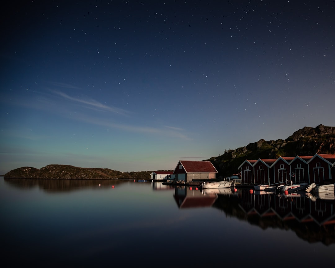 brown and green house beside body of water under blue sky during daytime