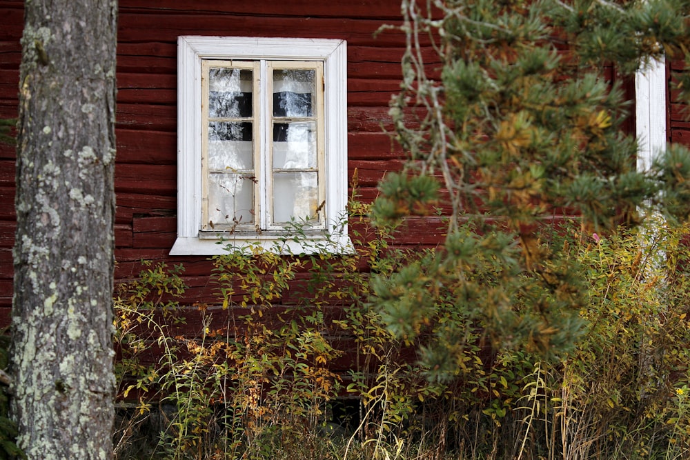 white wooden framed glass window