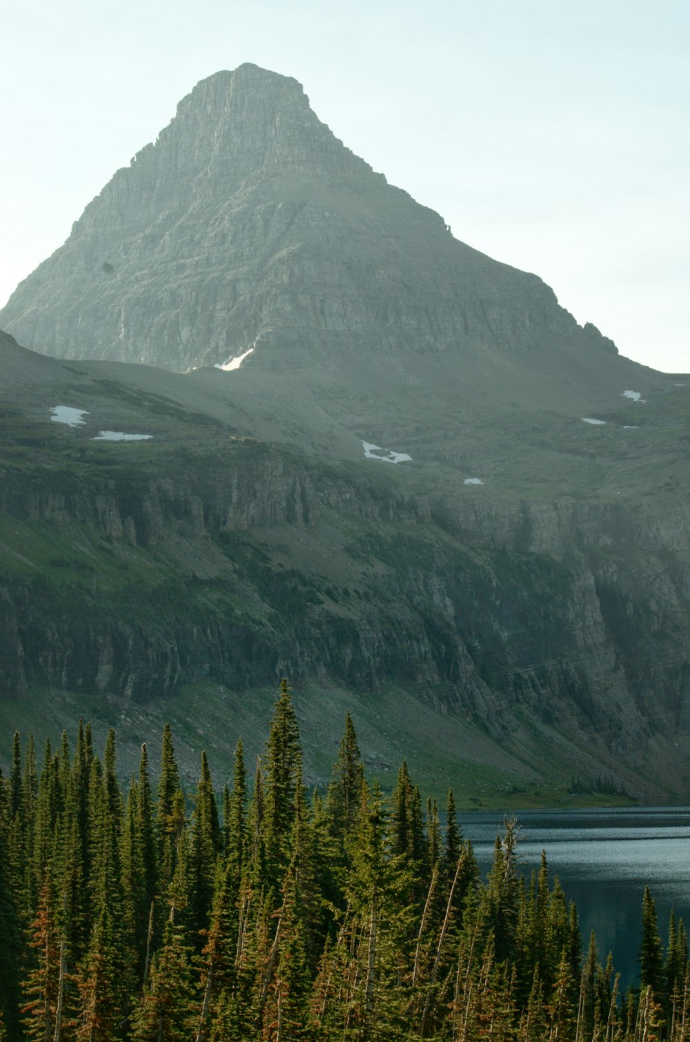 green trees near mountain during daytime